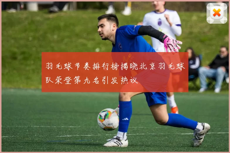 羽毛球节奏排行榜揭晓北京羽毛球队荣登第九名引发热议