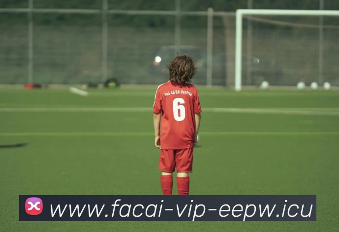 乐鱼体育注册品牌故事